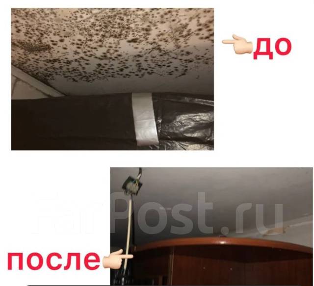 Удаление грибка плесени устранение запахов озоном во Владивостоке