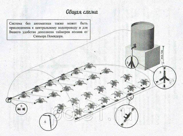 Система автоматического капельного полива 