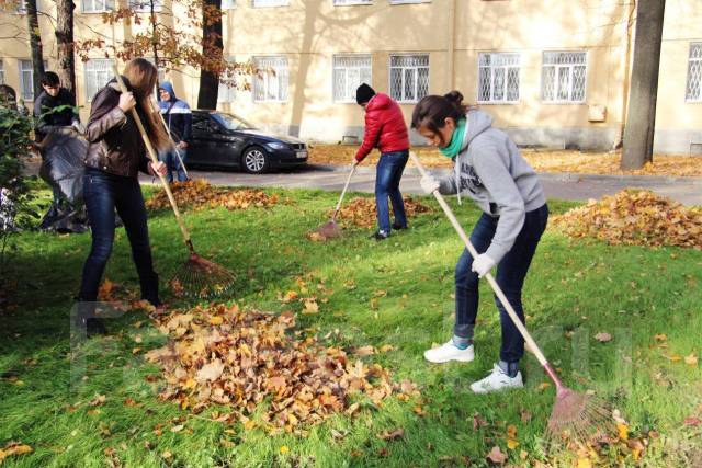 Уборка территории от мусора картинки