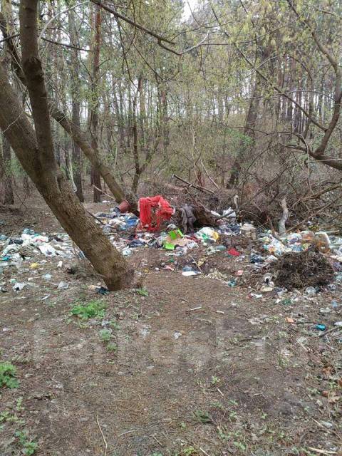 Разнорабочие / Уборка территории / Вывоз Мусора / субботники, с ...