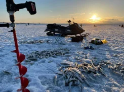 BRP Lynx 69 Yeti Army. ��������, ���� ���, � �������� ����