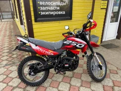 Racer Panther RC250GY-C2. 250����. ��., ��������, ���������, ��� ������� ����
