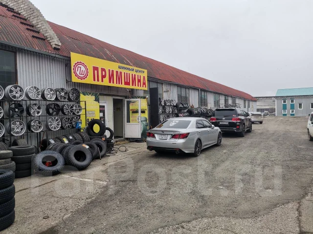 Gepormax Entro CS1. ������, 2026 ���, ����� ����