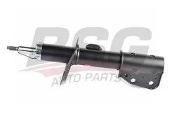 ������ �������� ���� bsg16300011 BSG BSG16300011 ����
