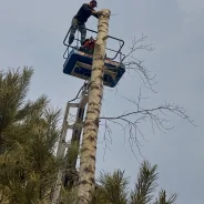 ���� ���� ������� �������� ���������� ��������� ������� ����� �����. ����