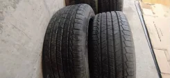 Tigar. ������, 2019 ���, �/�, ����� 10 % ����