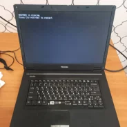 Toshiba ����