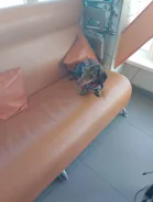 �����. ����