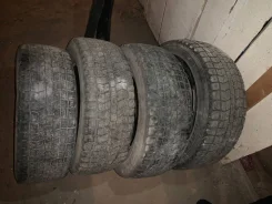 Falken Espia EP03. ������, ��� �����, �/�, ����� 50 % ����