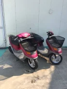 Honda Dio AF34 Cesta. 49����. ��., ��������, ��� ���, ��� ������� ����