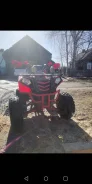 Wels Thunder 125 Evo Lux. ��������. ��� ����� �� ������������� ����