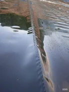 ������ � ������ ����������� ����