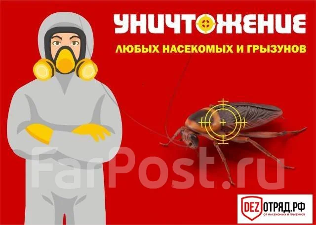 Скидка! Травля тараканов, клопов, крысы/мыши, клещи, плесень во ...