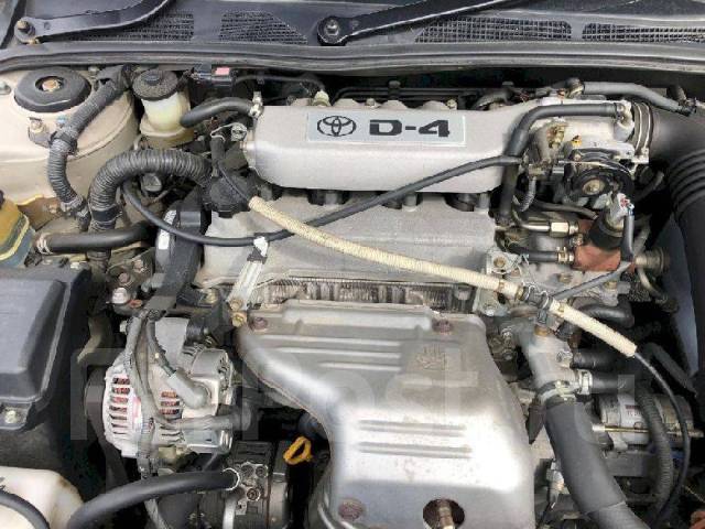 Предохранитель на сигнал виста ардео Wiring & Clamp для Toyota VISTA/ VISTA ARDEO ZZV50, год: 1998 2003. OEM запчас