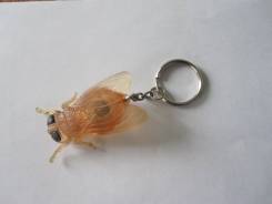 �������. ����