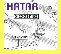 ���� �������� ���������� ��� ������� Febest 01254ST195 01254ST195 ����