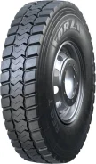���� Forza REG T