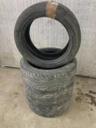 Toyo Proxes TR1. ������, �/�, ����� 10 % ����