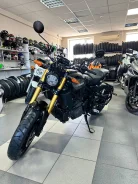 Indian FTR 1200 S. 1 200����. ��., ��������, ���������, ������ �� �� ����