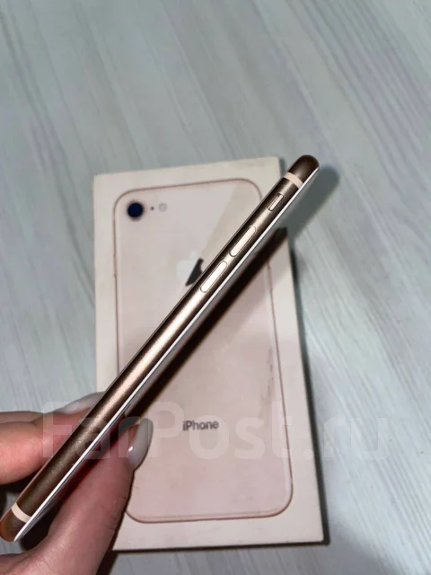 Apple iPhone 8. �/�, 64 ��, �������, 3G, 4G LTE ����