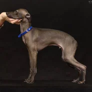 ��������. ��� ����� �� ������������� ����