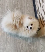 ����. ����