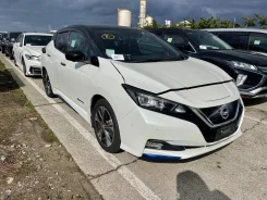 Nissan Leaf. ZE1, EM57 ����