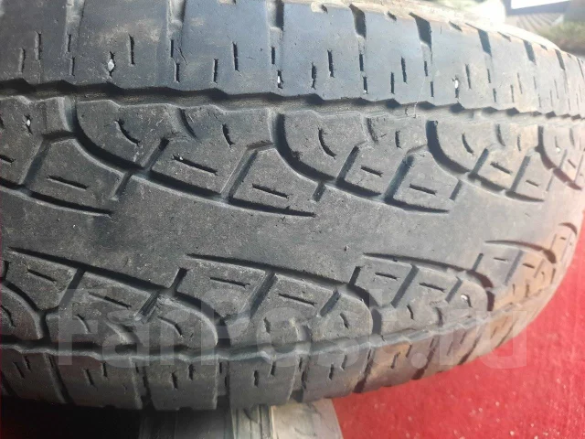 Targum Scorpion. �����������, �/�, ����� 60 % ����