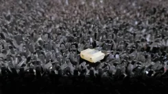 �������������� 25� Toyota Camry 9008082033 ����
