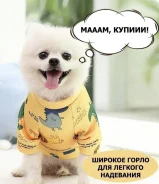 �����. ����