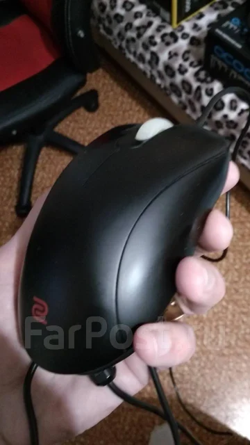 ���� �������. ����