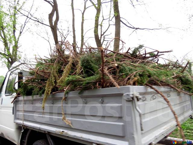 Уборка территории. Демонтаж домов, построек. Вывоз мусора, хлама в Артеме