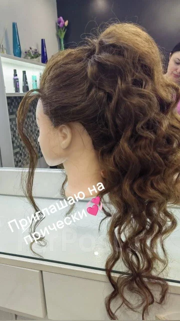 ��������, ������, ������� ����