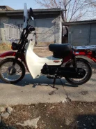 Suzuki Birdie. 50����. ��., ��������, ��� ���, ��� ������� ����