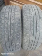 Tunga. ������, �/�, ����� 40 % ����