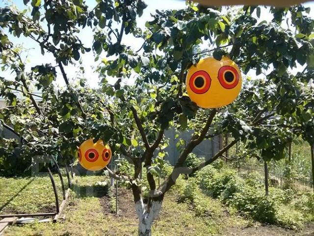 ������������ ���� ���� �������, ��� ����