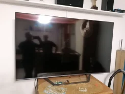 Hisense. OLED ����