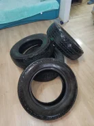 Presa. ����� at, 2017 ���, �/�, ����� 70 % ����