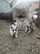 ���������������� �����. ����