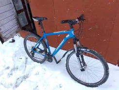 Marin ����