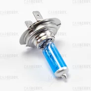 ����� H7 Carberry Power light Carberry 31CA13PL ����
