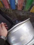 Forsage. x16", 5x100. ��� ����� �� ������ ����