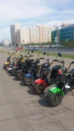 Seev Citycoco. ��������, ��� ���, � �������� ����