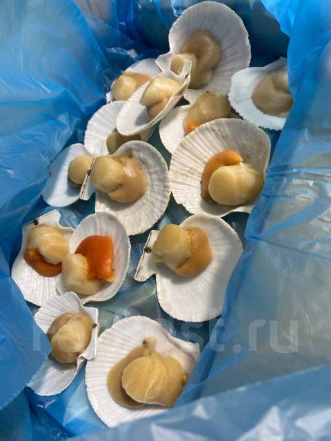 Гребешок по шанхайски, полустворка и ассорти, в наличии. Цена: 650₽ во ...