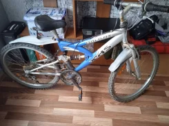 XDS ����