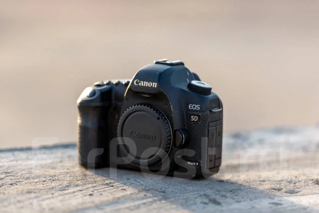 Canon EOS 5D Mark II. 20 � ����� ��, ���: ��� ���� ����