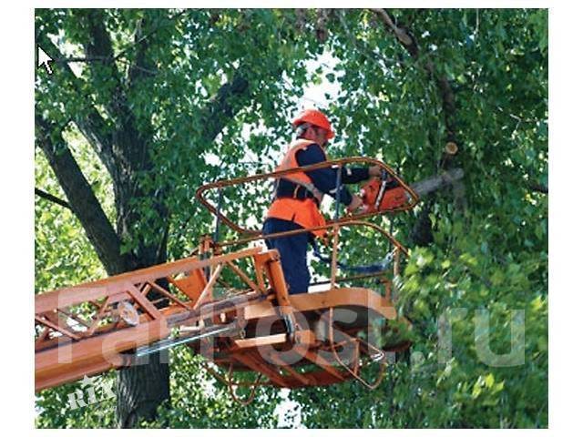 Покос травы. Спил деревьев. Разнорабочие. Самосвалы. Автовышки в Хабаровске