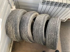 Lassa Competus A/T 2. ����� at, 2018 ���, �/�, ����� 30 %. �������� ������� ����