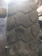 Annaite 309. �����������, �/�, ����� 50 % ����