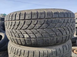Bridgestone Winter Radial WT-17. ������, ����������, �/�, ����� 40 % ����